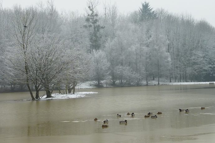 ETANG DE FOUCHERANS_2