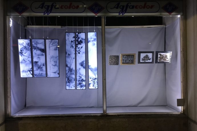Expo Démo D’Emaux 2019