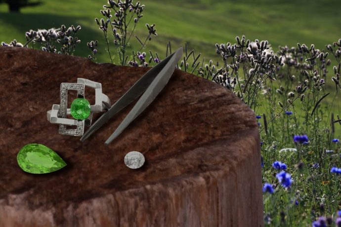 LA TAILLERIE_1