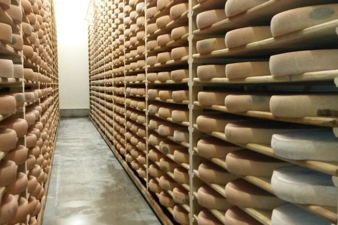 FROMAGERIES DU REVERMONT_6