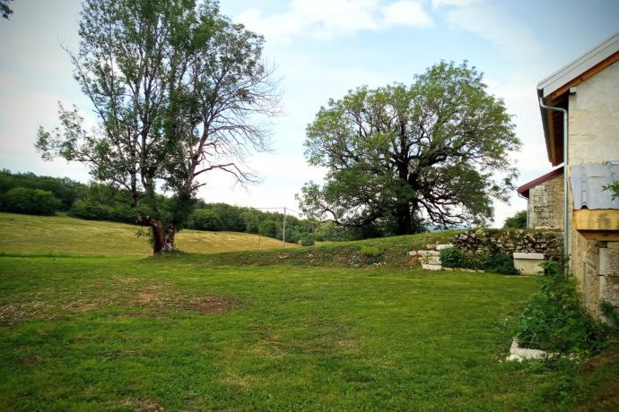 Le jardin