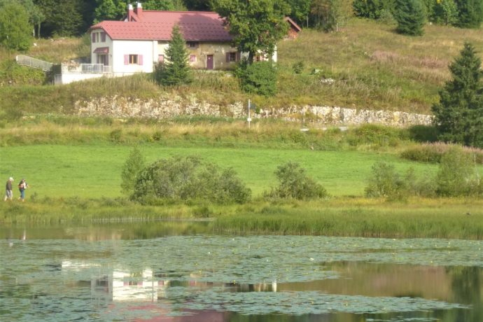 P1020231