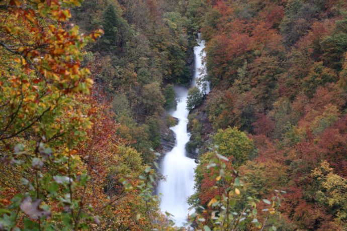cascadedubiefdelaruine_foncinelebas_automne_2019_©CNJ (8)