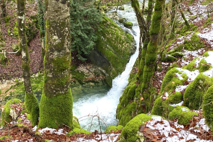 creuxdesjoyaux_riviere_foncinelehaut_automne_neige_2023_©CNJ (17)