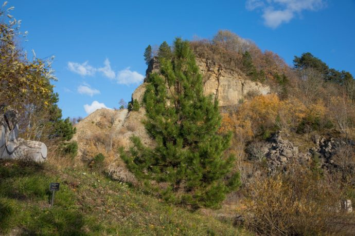 montrivel_champagnole_automne_©Loïc_Aubert (16)