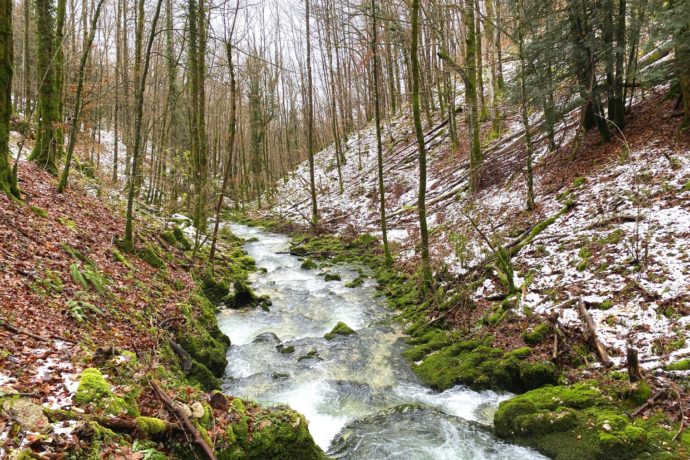 sourcedubiefdelaruine_riviere_foncinelehaut_neige_foret_hiver_2023_©CNJ (47)